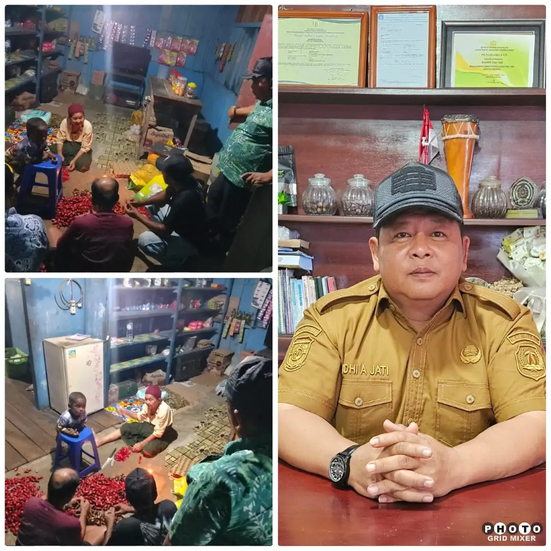 Perubahan Iklim Geser Musim Panen Pala Fakfak, Pemkab Ingatkan Petani: Jangan Korbankan Mutu Demi Panen Dini